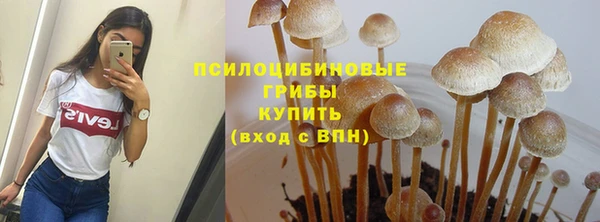 стафф Балахна