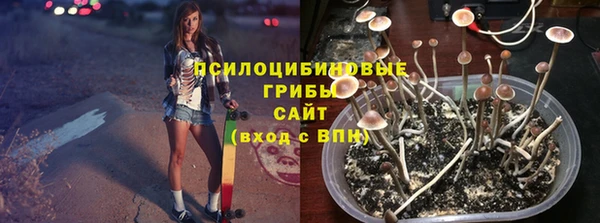стафф Балахна