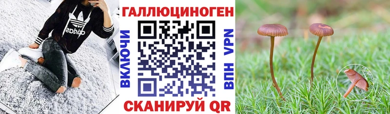 купить наркотик Энем даркнет состав Псилоцибиновые грибы Psilocybe